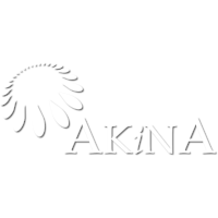 Akina Inc