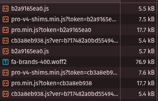 Screenshot of a website inspector tool showing many network requests being made to load different versions of the same thing multiple times.